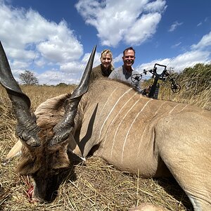 Compound Bow Hunting Eland Zambia