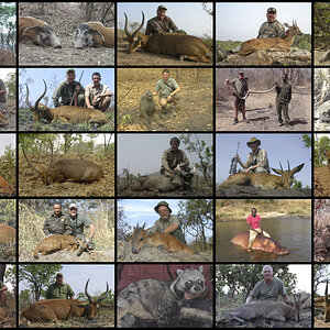 Hunting in Cameroon