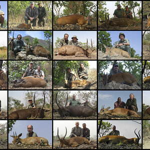 Hunting in Cameroon