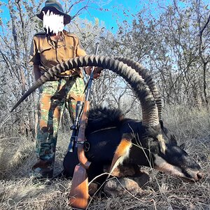 47 Inch Sable Hunt