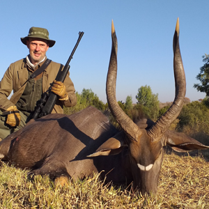 Nyala Hunting