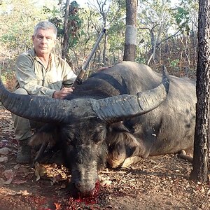 Asiatic Water Buffalo Hunt Australia