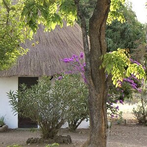 Accommodation Bungalows