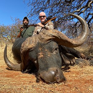 Buffalo Hunting South Africa