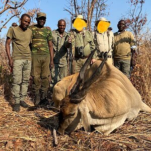 Eland Hunt Kruger Park South Africa