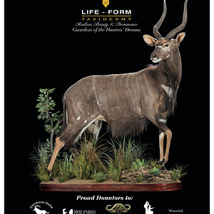 LIFE-FORM TAXIDERMY South Africa