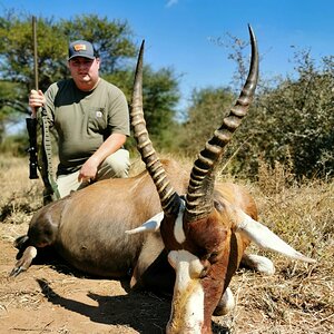 Blesbok Hunt Limpopo South Africa