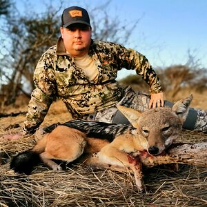 Jackal Hunt Limpopo South Africa