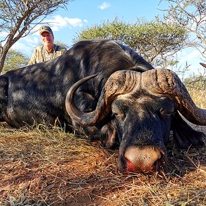 Buffalo Hunt Limpopo South Africa