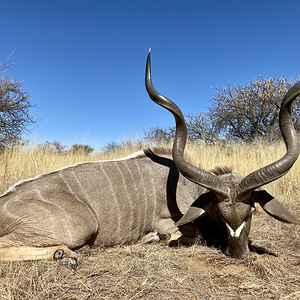 Kudu Hunt Namibia