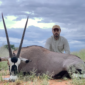 Gemsbok Hunt Namibia