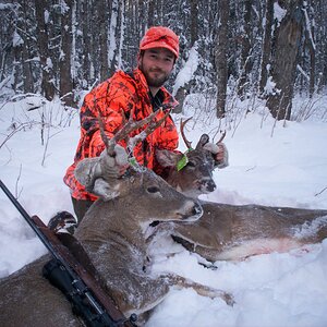 Mule Deer Hunting Canada