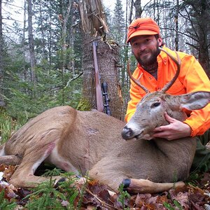 Mule Deer Hunting Canada