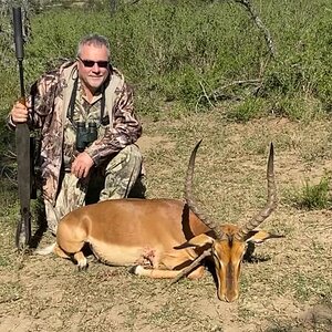 Impala Hunting South Africa