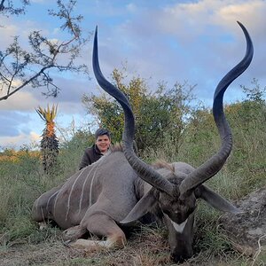 Kudu Hunting South Africa