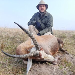 Blesbok Hunting South Africa