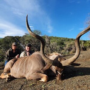 Kudu Hunting Eastern Cape South Africa