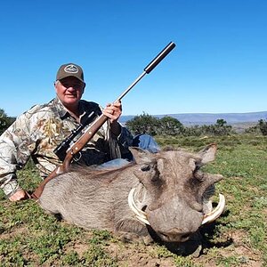 Warthog Hunting Eastern Cape South Africa