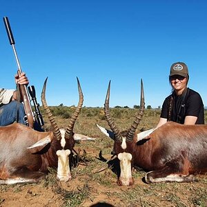 Blesbok Hunting Eastern Cape South Africa