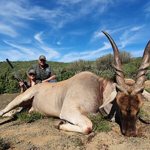 Eland Hunting Eastern Cape South Africa