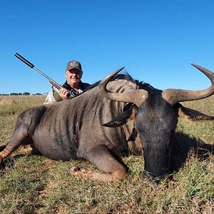 Blue Wildebeest Hunting Eastern Cape South Africa