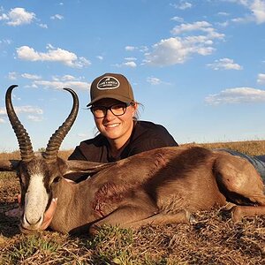 Copper Springbok Hunting Eastern Cape South Africa