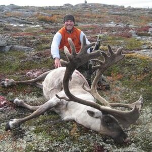 Caribou Hunting