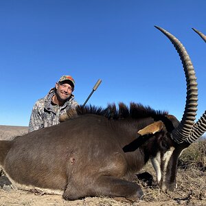 Sable Hunt Eastern Cape South Africa