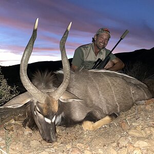 Nyala Hunt Eastern Cape South Africa