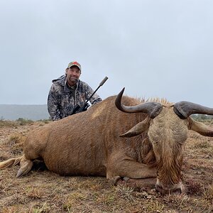 Golden Wilde Beest Hunt Eastern Cape South Africa