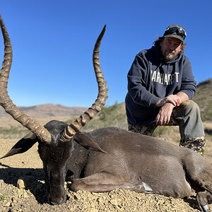 Black Impala Hunt South Africa