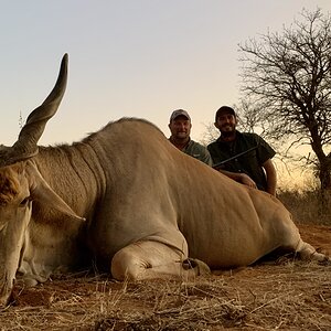 Hunting Eland South Africa