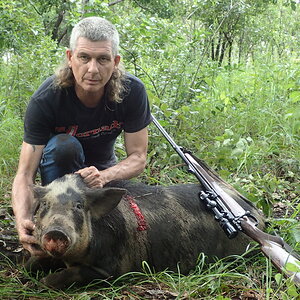 Pig Hunt Australia