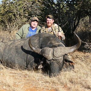 Buffalo Hunt Free State South Africa