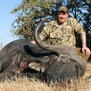 Buffalo Hunt Free State South Africa