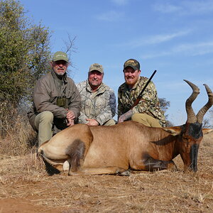 Red Hartebeest Hunt Free State South Africa