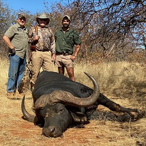 Buffalo Hunt South Africa