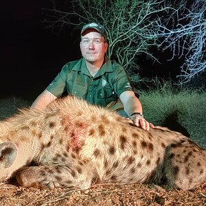 Spotted Hyena Hunt South Africa