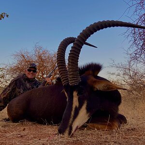 Sable Hunt South Africa