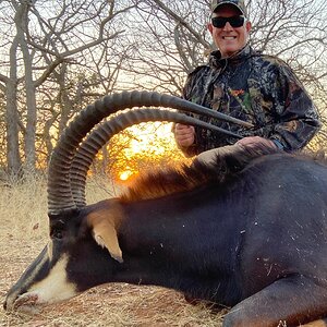 Sable Hunt South Africa