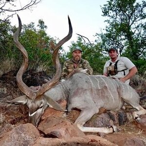 Kudu Hunting Limpopo South Africa