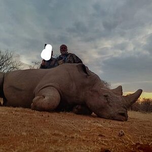 Rhino Hunting Limpopo South Africa