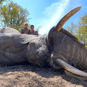 Elephant Hunt Bulawayo Zimbabwe