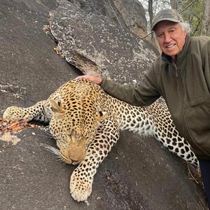 Leopard Hunt Bulawayo Zimbabwe