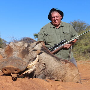 Warthog Hunt South Africa