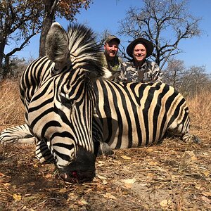 Zebra Hunt Zimbabwe