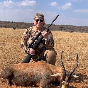 Blesbok Hunt Limpopo South Africa