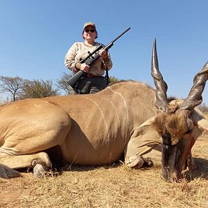 Eland Hunt Limpopo South Africa