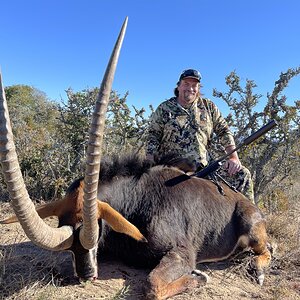 Sable Hunt Eastern Cape South Africa