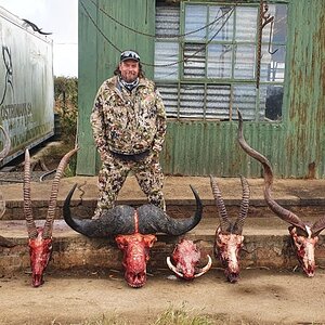 Trophy Hunt Eastern Cape South Africa